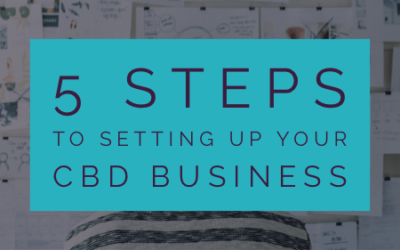 5 Steps To Setting Up Your CBD Business with Matt Sibert & Dr.Bee Thomas