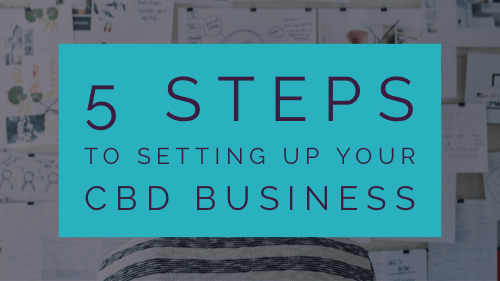 5 Steps To Setting Up Your CBD Business with Matt Sibert & Dr.Bee Thomas