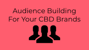Audience Building For Your CBD Brand