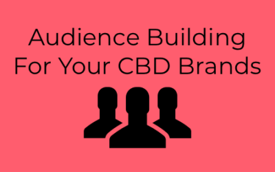 Audience Building For Your CBD Brand