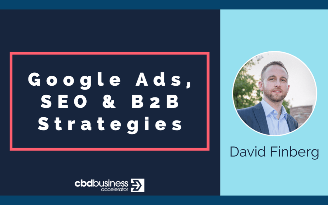Google Ads, SEO & B2B Strategies – David Finberg