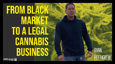 From Black Market To A Legal Cannabis Business - Ryan Pettigrew