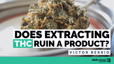 Does Extracting THC Ruin A Product? – Victor Berrio
