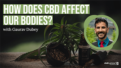 How Does CBD Affect Our Bodies – Gaurav Dubey