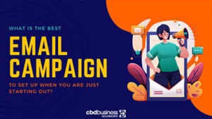 What Is The Best Email Campaign To Set Up When You Are Just Starting Out?